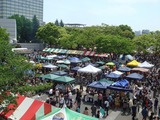 ジャマイカ フェス (1)