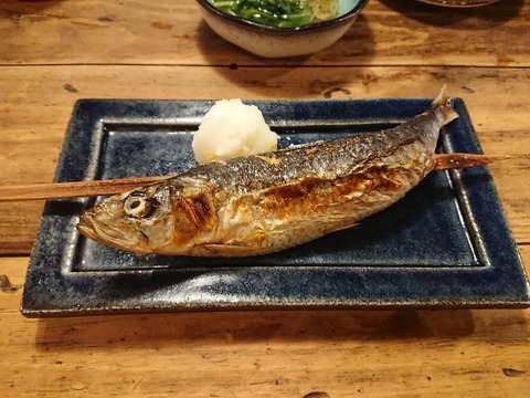 ちょーちょ (5)