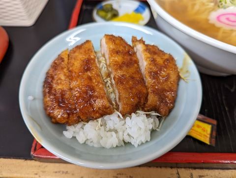 しおえ ミニソースカツ丼
