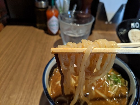 らーめんつけ麺NOFUJI 麺1