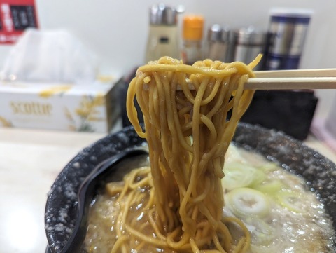 一山家 細麺