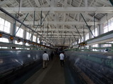 富岡製糸場 (17)