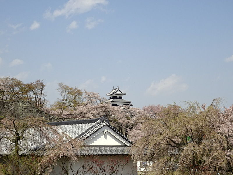 DSC01939