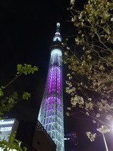 DSC07380