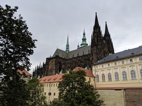 IMG_20190812_093159