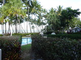ALAMANDA PALM COVE (46)