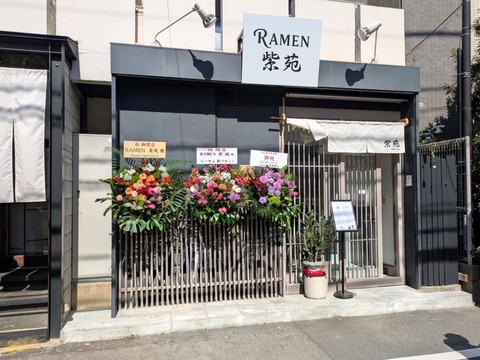 紫苑 (1)