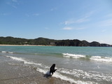 弓ヶ浜 (4)
