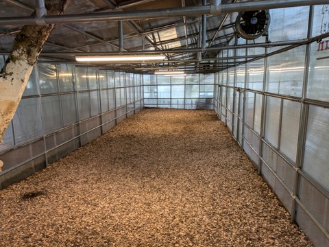 PXL_20241026_073009202