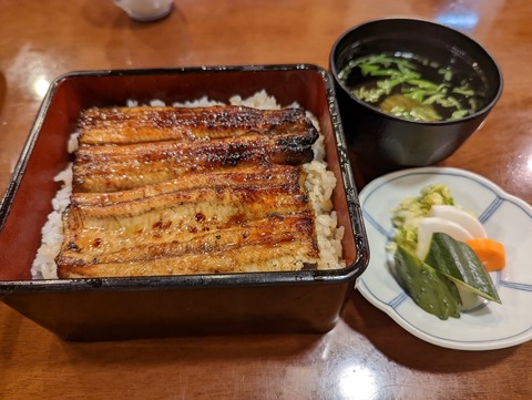 まとい　うな重並