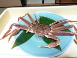 越前カニ (5)