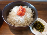 塩ラーメン専門 六星 明太しらすご飯