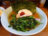 五十三家　海苔ほうれんそう