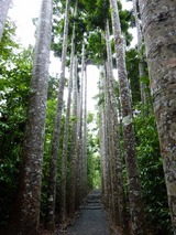P1000726