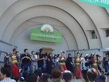 インドネシア フェス (4)