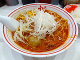 中本 北極の超