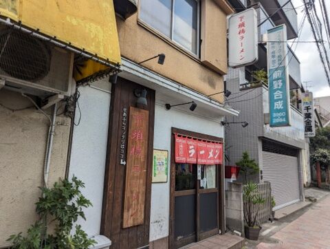 下頭橋　外観