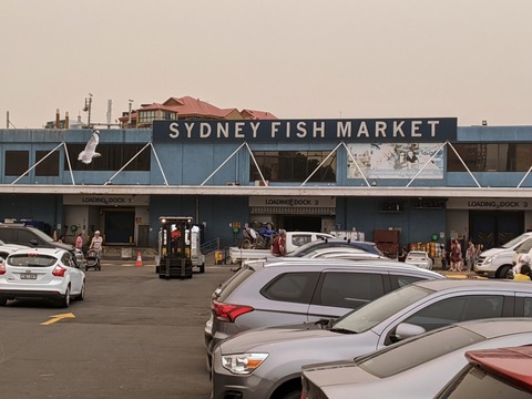 Fish Market (1)