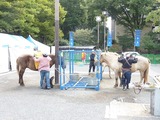 北海道 産直フェア (5)