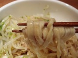 アイバンラーメンPlus 麺