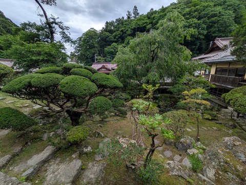 PXL_20260620_061147725