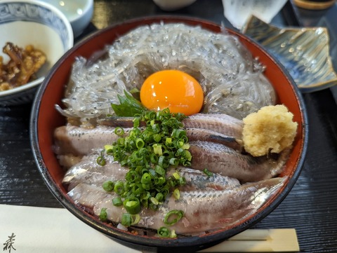大森 親子丼