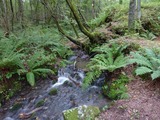 軽井沢ＲＩＯ (8)