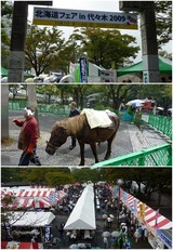 2009年10月