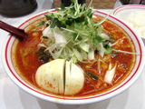 中本 北極の春