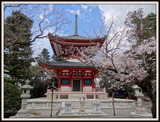 京都　知恩院 (5)-001