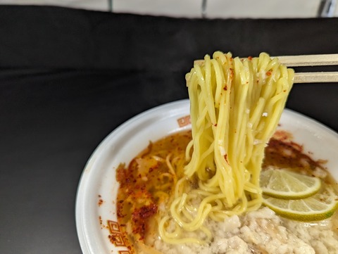 トルネコパーパ　麺
