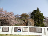 小峰城 (2)