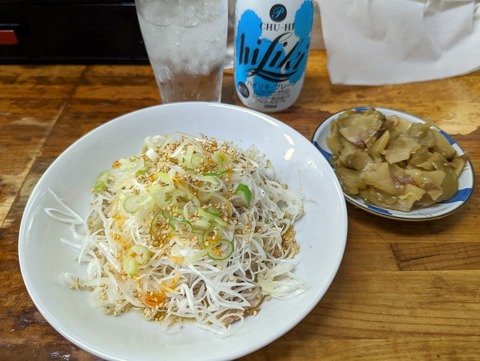 ラーメン太陽　ネギチャーシューザーサイ