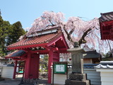 福島 妙関寺 (3)-1