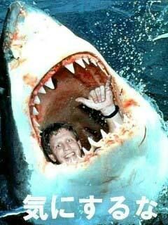 落ち込んだときに見ると元気の出る画像 てけとーなんです