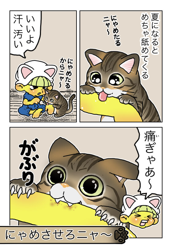 てけポンブログ137