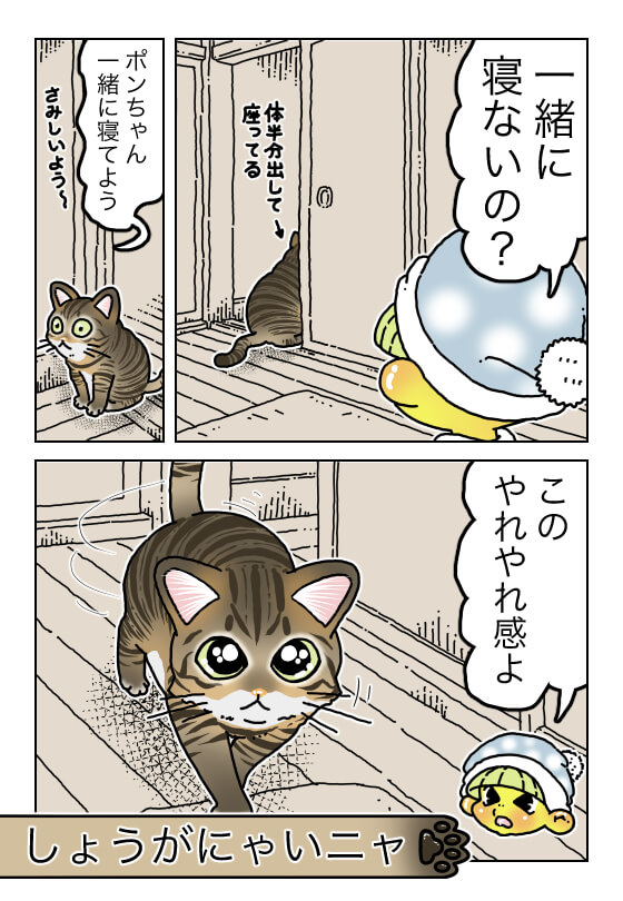 てけポンブログ141