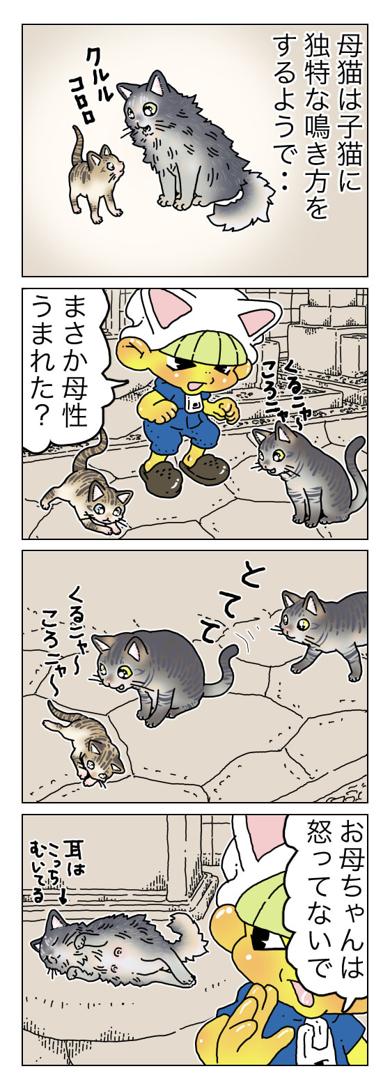 てけポンブログ81-1