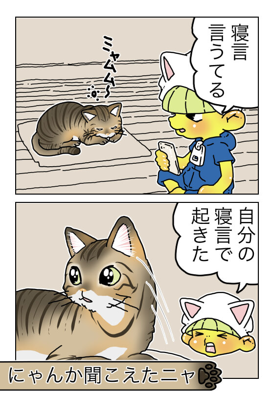 てけポン61