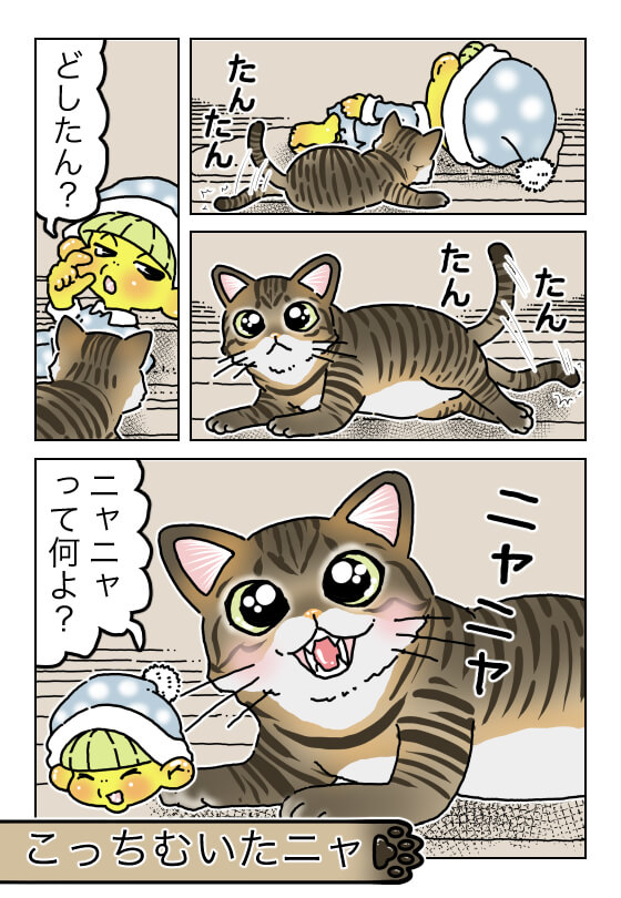 てけポンブログ146