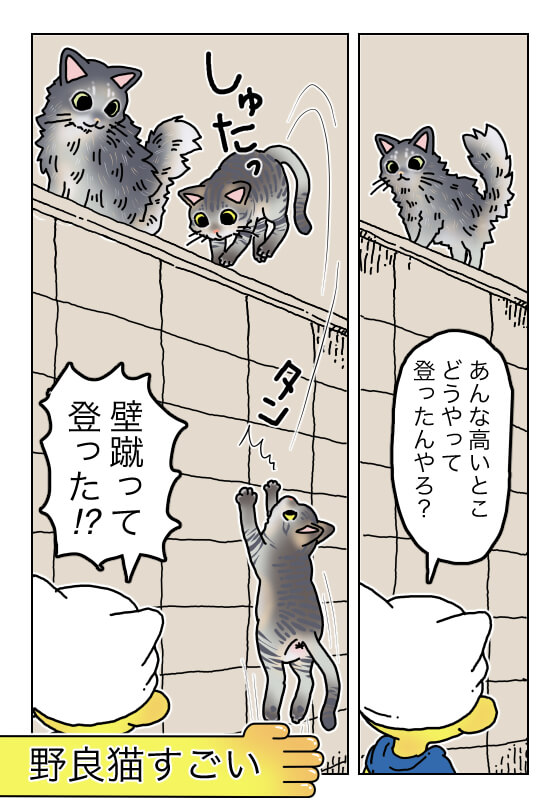 てけポンブログ87