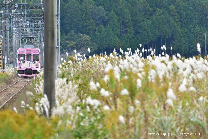 伊賀鉄道で秋を探しに テキトーに行こう 新 本家