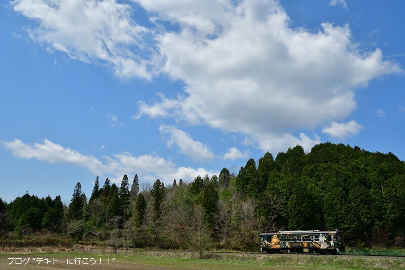 テキトーに行こう！！（新・本家）信楽高原鐵道沿線に その１コメント                        tekito_01234