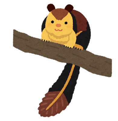 Twiceのサナちゃんとかいうリス顔の美人ｗｗｗｗｗｗ 画像あり てきとーまとめ