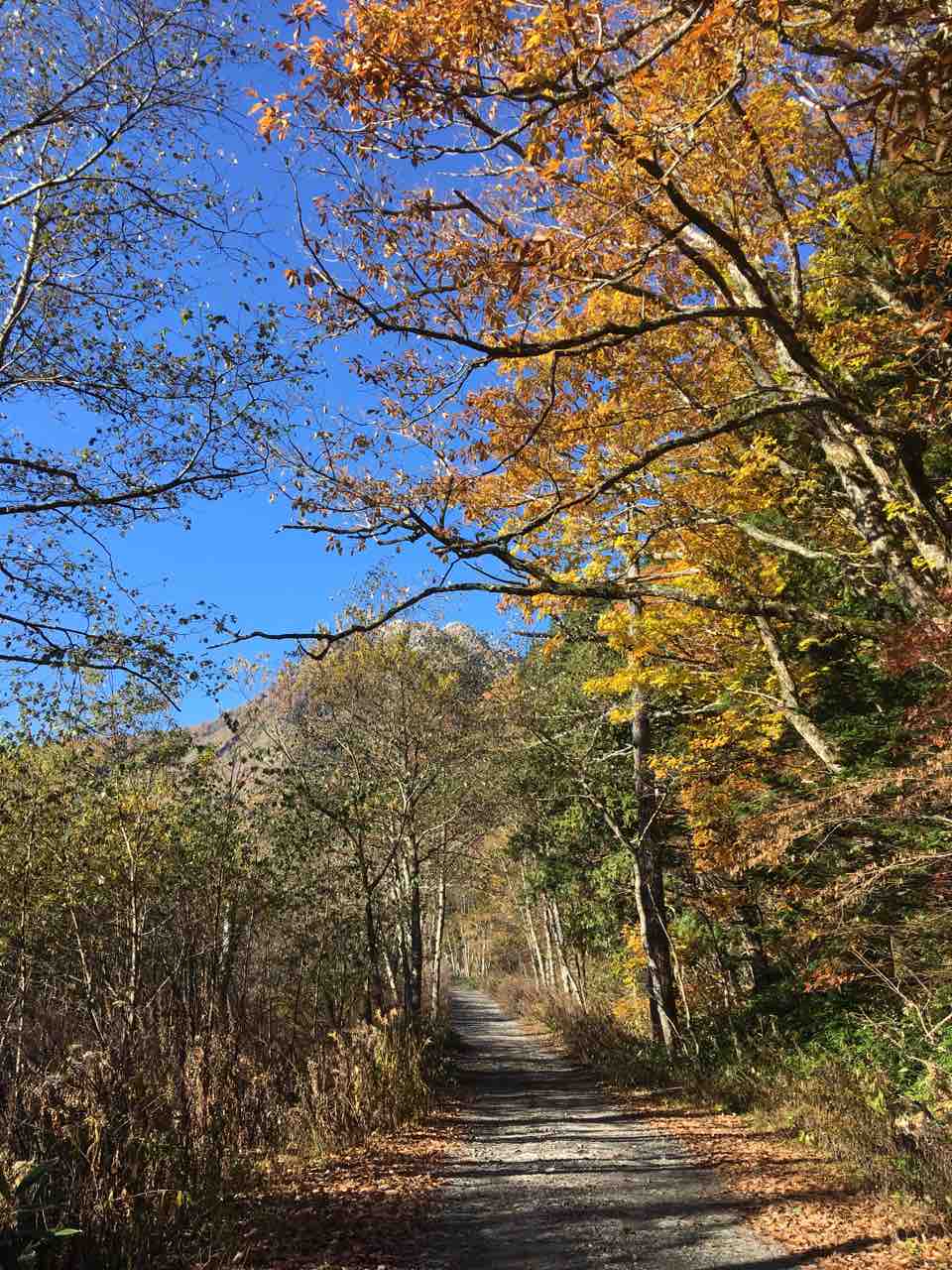 焼岳 上高地 山頂 何時間あればok 熊は Tekitopの適当ブログ 焼岳 上高地 山頂 何時間あればok 熊は Tekitopの適当ブログ