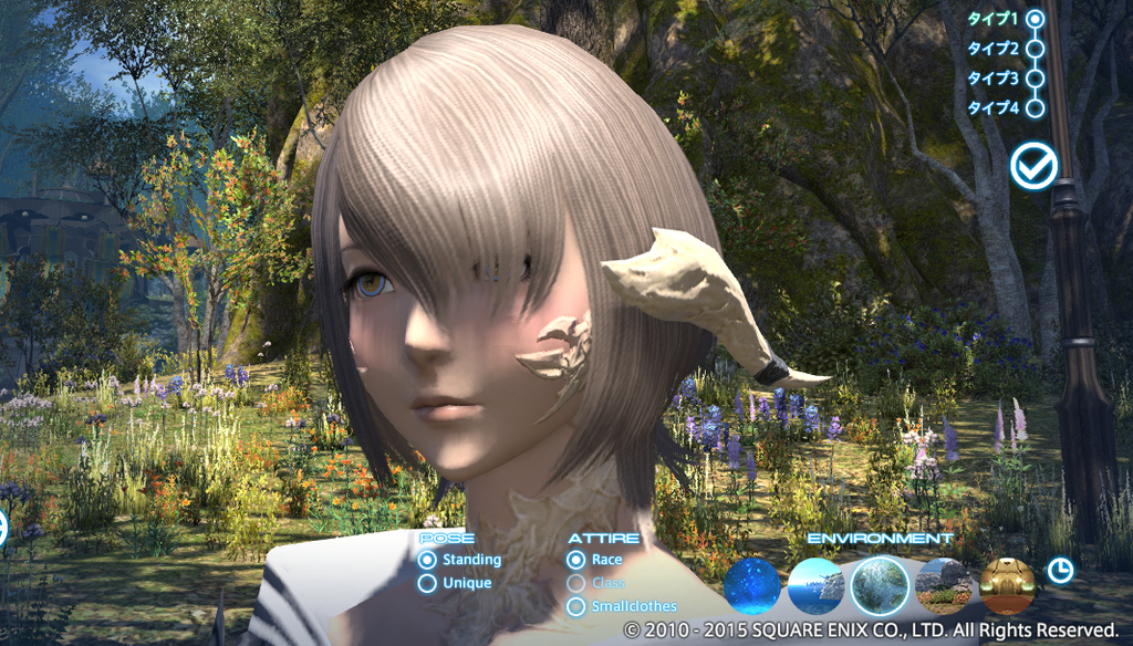 心に強く訴える Ff14 アウラ さかななみ 心に強く訴える Ff14 アウラ さかななみ