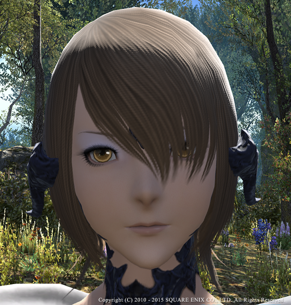 新生ff14 世界よ これが日本のmmoプレイヤーが作ったアウラのキャラメイクだ 画像有 Ff14速報 新生ff14 世界よ これが日本のmmoプレイヤーが作ったアウラのキャラメイクだ 画像有 Ff14速報