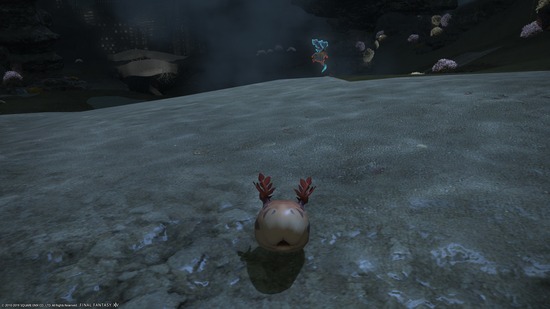 ffxiv_20190707_015436_834