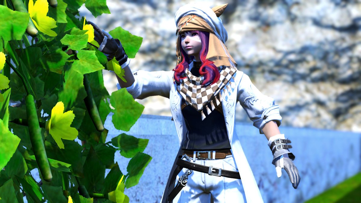 Ff14 5 0新式の材料になる可能性あり あの素材 を集めるギャザクラ民が増加している件 Ff14速報 Ff14 5 0新式の材料になる可能性あり あの素材 を集めるギャザクラ民が増加している件 Ff14速報