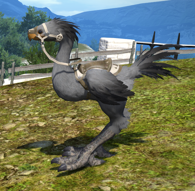 新生ff14 チョコボ染色で黒チョコボ スートブラック が完成 Ff14速報 新生ff14 チョコボ染色で黒チョコボ スートブラック が完成 Ff14速報